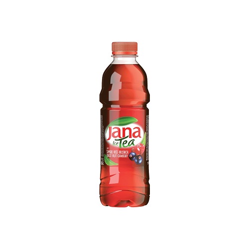 Jana Ice Tea Waldfrüchte 0.5L