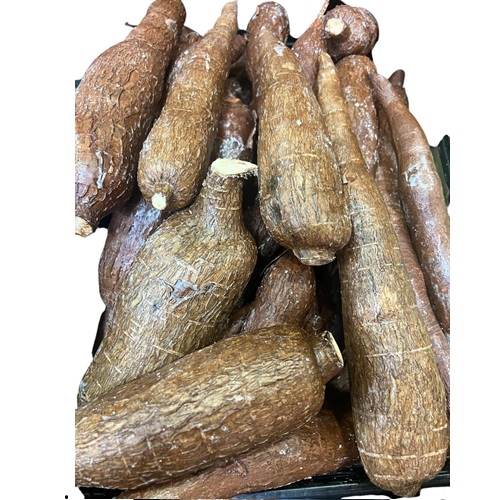 MANIOK "Kassave"