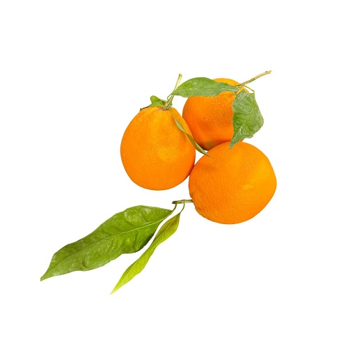 ORANGE Kg.